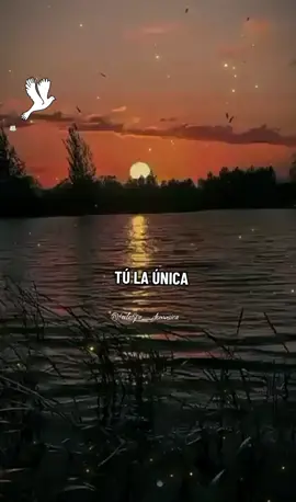 Tu Amor No Tiene Fin 🎶 💞