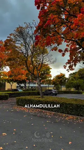 C’est vendredi, un jour béni 🌙 Une nouvelle chance de se rapprocher d’Allah. #islamic_video #vendredi #jummamubarak #dua 