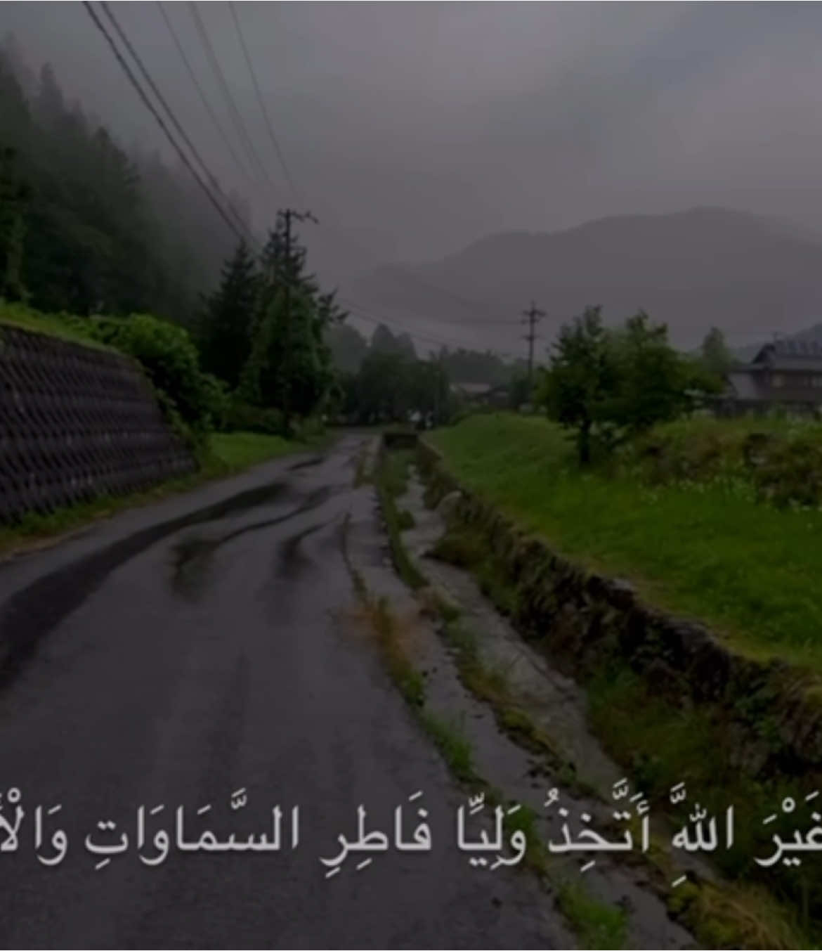 #قران #محمد_ايوب #quran 🤎..