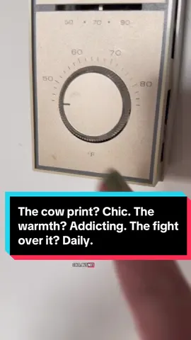 #creatorsearchinsights  #HeatedBlanket #ElectricThrow #CowPrintStyle #CozyVibes Cold nights are back in New Jersey, but it’s not cold enough to justify blasting the heater. That’s where my Blunique Cow-Print Heated Blanket saves the day. With 5 adjustable heat settings (75°F–115°F) and automatic shut-off after 4 hours, it keeps me perfectly warm and safe. It’s made from soft fleece and sherpa, and yes — that cow print looks so good on the couch I might need one just for me (no more fighting over it with Mom!).