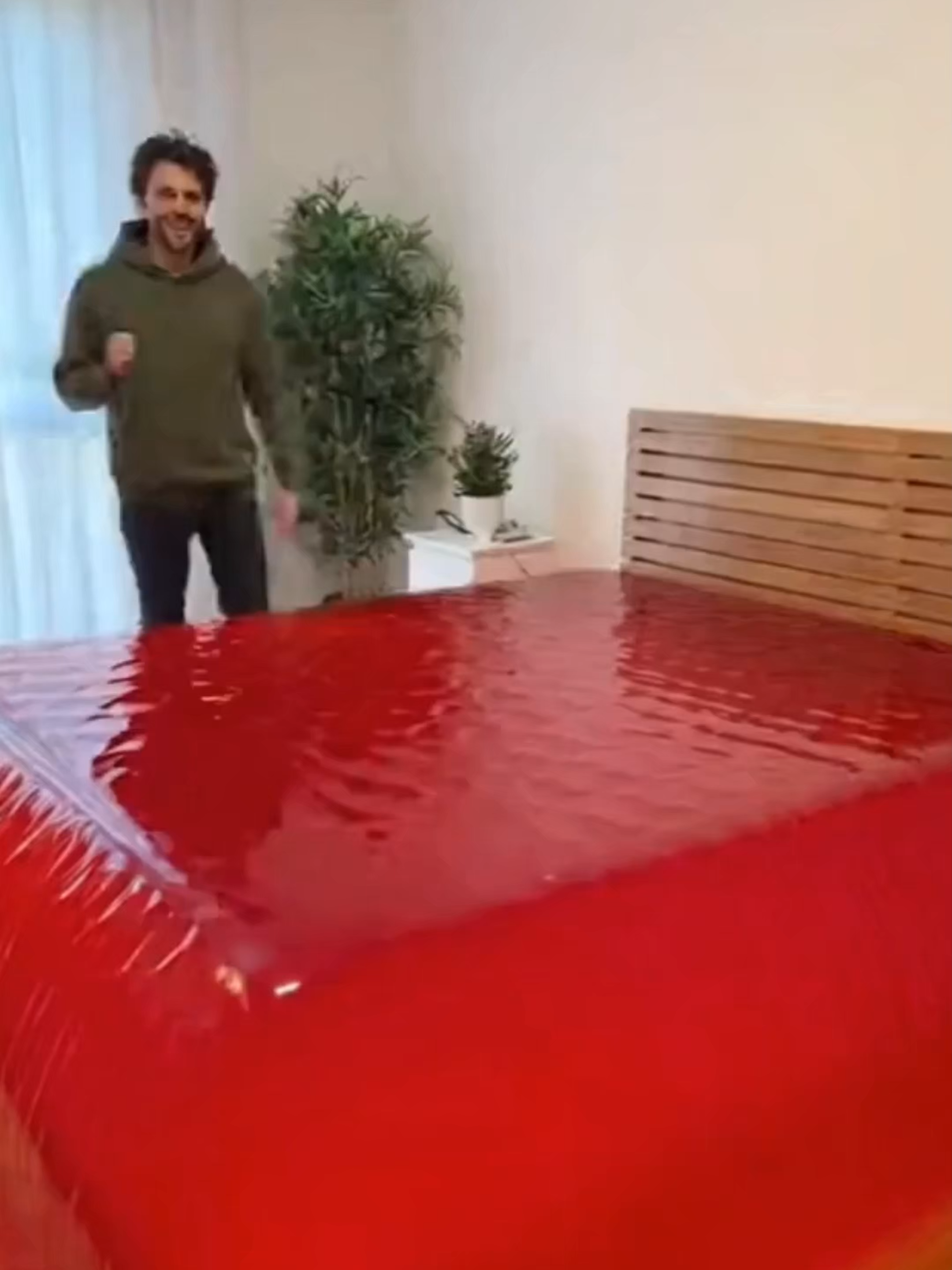 #JellyBed #SatisfyingVibes #LuxuryAesthetic #CreativeDesign #VisualArt #SatisfyingVideo #TikTokArt #OddlySatisfying #viral #fyp #Satisfying