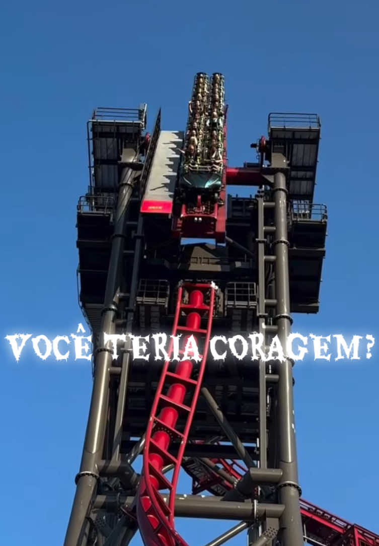 A melhor novidade de 2025! 🎢🔥 #viraltiktokvideo #montanharussa #viralvideos #trendingvideo #tiktokadrenalina 