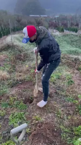 Tháng trăm trẻo#hanquoc 