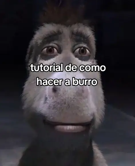 cómo la dragona ve a burro 🗿  #sherk  #fyp #gigachad #clay #escultura 