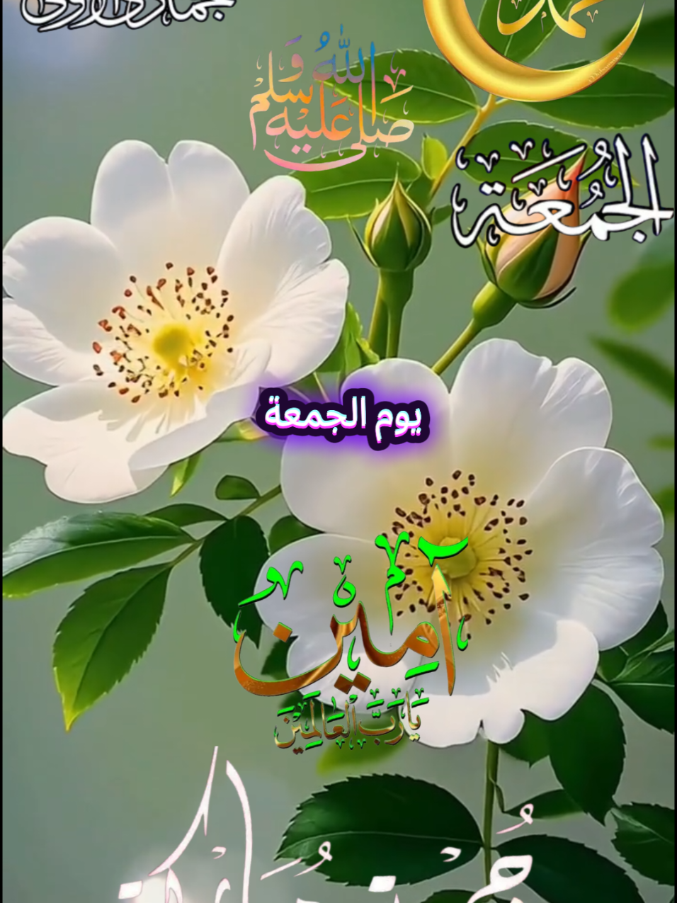 اللهم في صباح يوم الجمعة  دعاء يوم الجمعة  #جمعة_مباركة_عالجميع #دعاء_يوم_الجمعة #CapCut #fyp #صباح_الخير @ابراهيم ابراهيم @💙🤍  أبو غزيل 🤍💙🇸🇦 @تفاح أخضر 