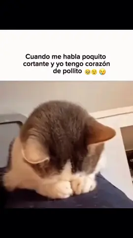 porque sos así conmigo 