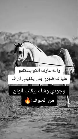 #خيول_عربية_اصيلة❤️🐎 #خيل_وخياله🐎  #مجرد________ذووووووق🎶🎵💞  #اقتباسات_عبارات_خواطر🖤🦋❤️  #المصمم_بوهيبه🎬بوهيبه🎵 