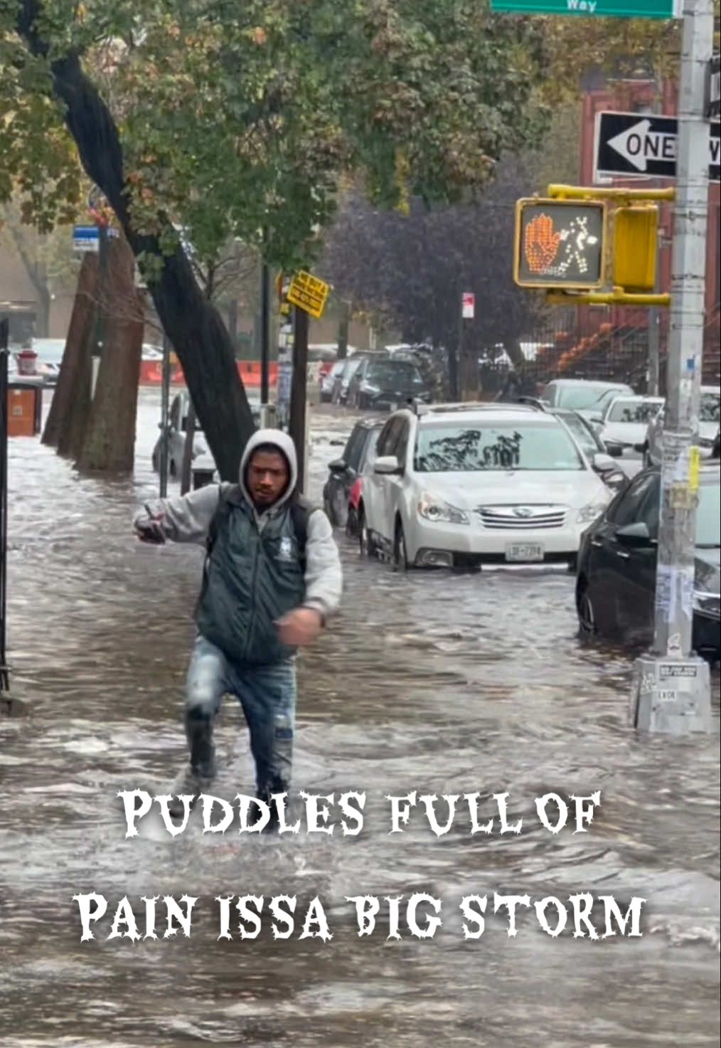 THIS IS WHAT THAT JUNGLE DO!!! ISSA BIG STORM !!!  #newyorkflood #pain #brooklynflood #rain #fypシ