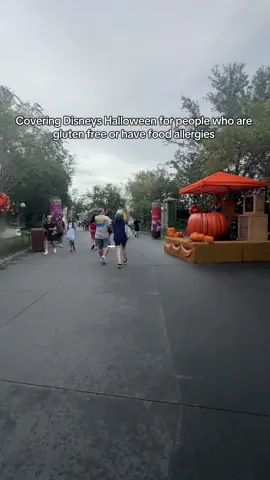 All food,no rides as I go looking for allergy sheets (for wheat, dairy, egg, soy, peanut, tree nuts, fish, shellfish and sesame) at MNSSHP. #dayinthelife #diml #glutenfree #dairyfree #disneyworld 