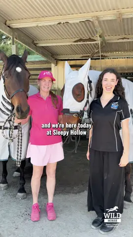 We don’t release new designs for fun. This one’s been tested. On real horses. In real paddocks. The new belly rug has been shaped to stay in place — no bunching, no twisting, no rubbing. 💙 Triple Velcro for serious hold 💙 Breathable coverage right where they need it 💙 Works for itchy horses, heavy rollers, and big movers If you’ve ever had a rug slip back or dig in behind the elbow — this one changes everything. 🐴 Designed with feedback. Refined in the paddock. Built to last.