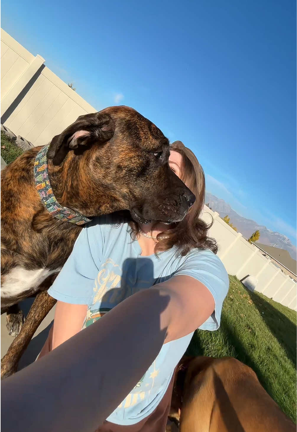 And I wouldn't want it any other way. I love my velcro dogs.  #dogmom #nexttome #viral #utah #rescuedog 