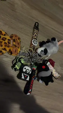 I can't wait to put the stuff in it!!  #fyp #alttiktok #alt #car #cardecoration 