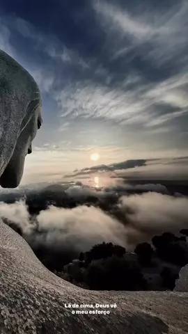 ✨🙏🏽 #frases#tipografia#reels#fy#explorepage