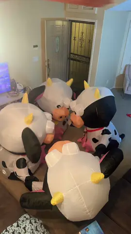 Casting spells and rituals the heifer way🐄🐮#viral #gotmilk #heyheifer 