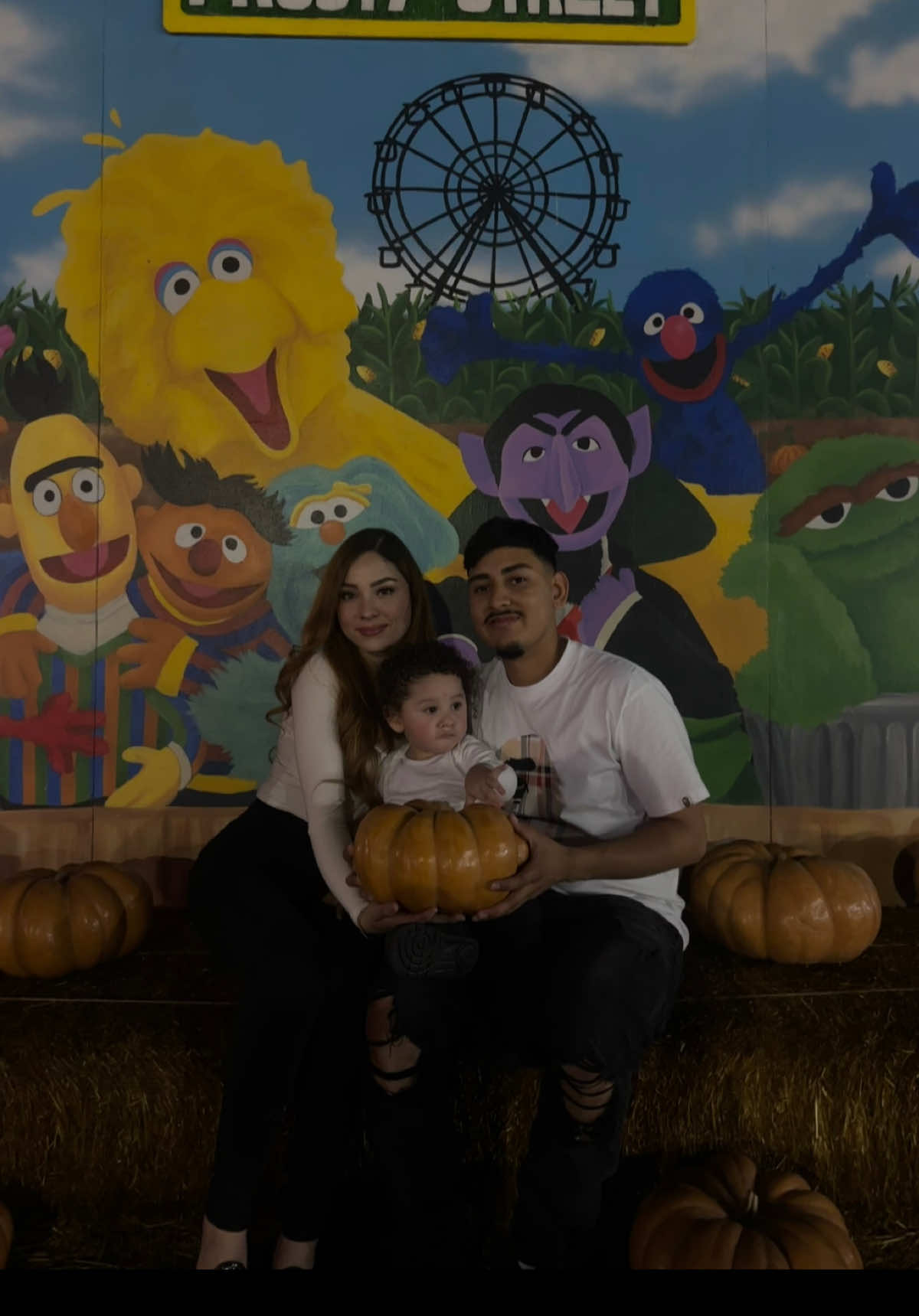 pumpkin patch 2025 🎃