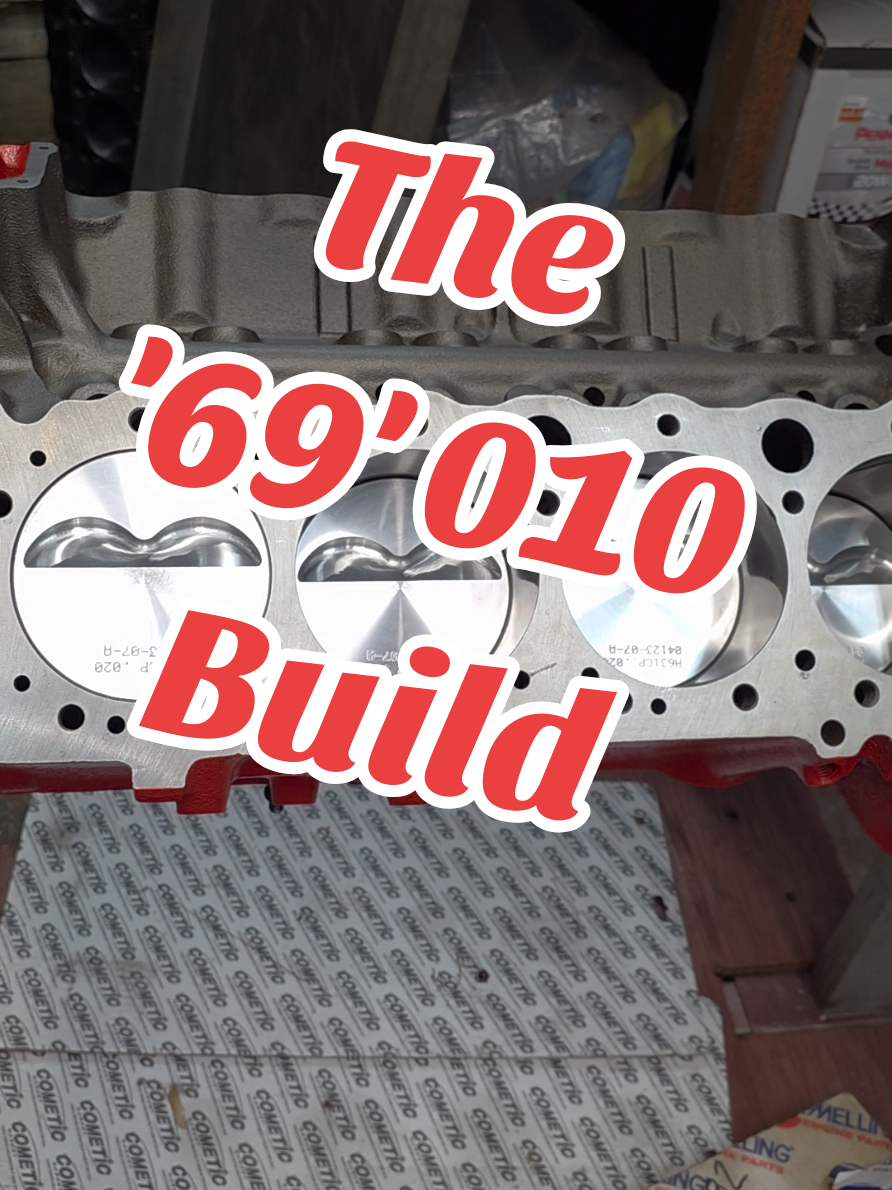 1969 Corvette 350/ 300hp block, .020 over, decked and, align honed. 1182 Lt1 Steel Crank, Lt1 Pink 