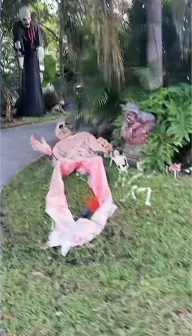 Halloween 👻 🤗🥰 #doglovers #doglover #malinois #k9dog #k9training 