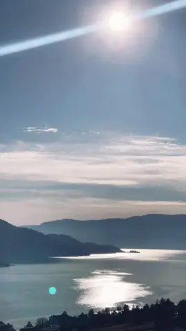 Our gratitude is the song of alignment❤️