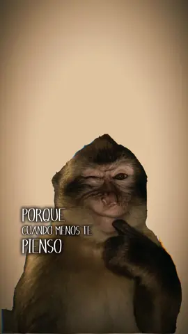 #CapCut #paratii #fy #lyricsmusic #monkey 