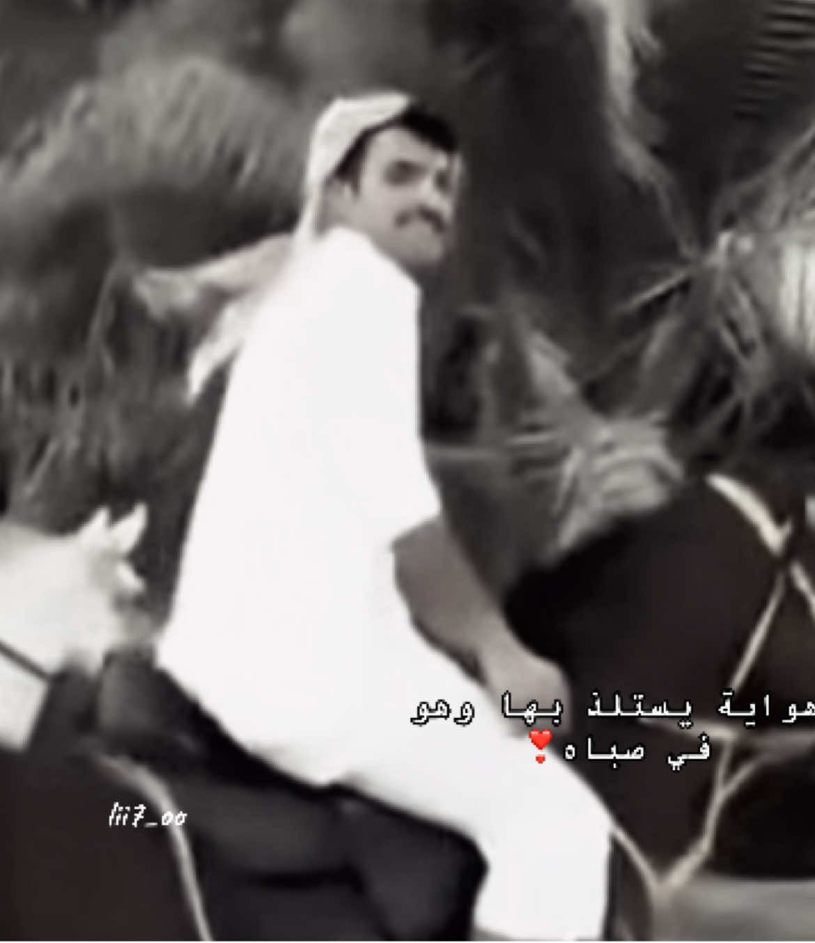 #بهاج_الاكلبي @بهآج الاكلبي 