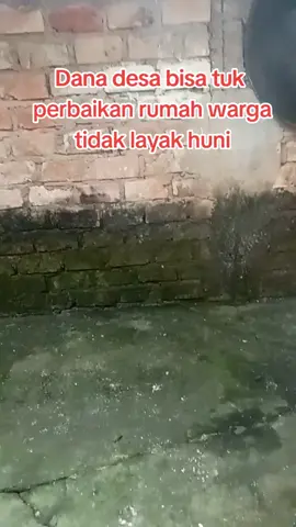 #pejabat #kadesviral #fyppppppppppppppppppppppp #fypシ゚viral #danadesa 