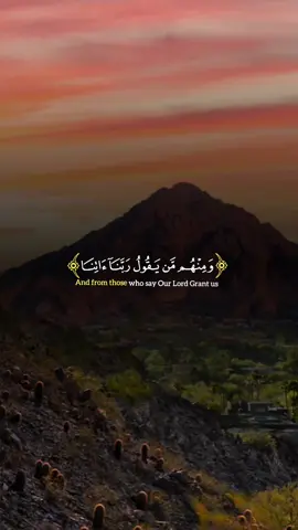 #CapCut #آيات_القرآن #آيات_بينات #آيات_قرآنية #قرآن_كريم_بصوت_جميل 