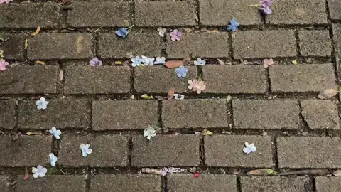 insta360 ace pro 2 #xuhuong #insta360aceapro2 #douyin 