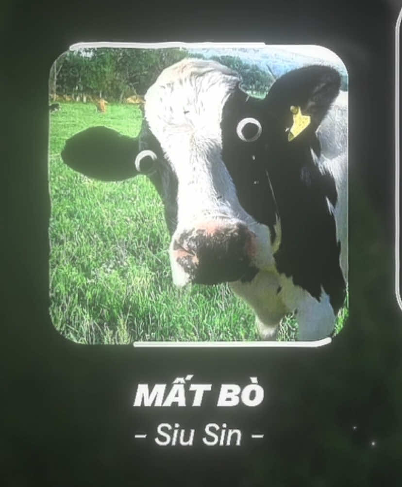 - Mất Bò - #cthbaoo_05 #lyricsvideo #music #ilovetiktok #fyp 