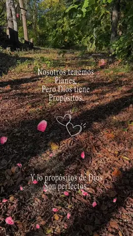 #CapCutMotivacional #Motivacional #motivacion #CapCut #reflexaododia 