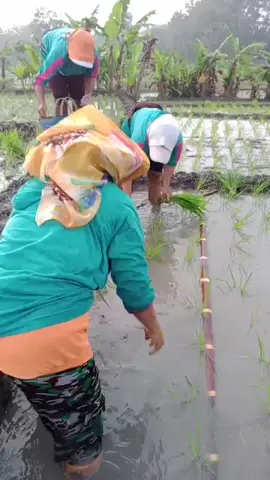 penting dilakoni 😂😂 #kontenharian #fyp 