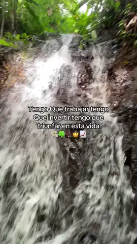#viral #parati#frasesmotivadoras #🍀📿🧿🧔🏻‍♂️💸 
