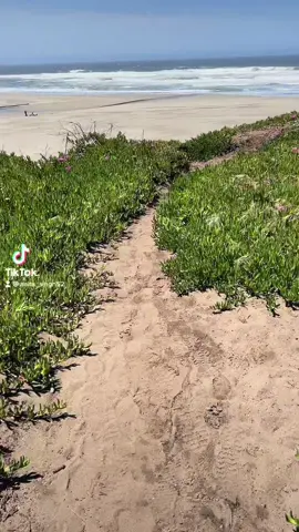 #foryoupage❤️❤️ 