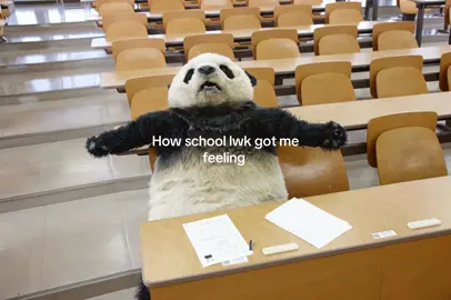 #fyp #real #viral #school #relatable 