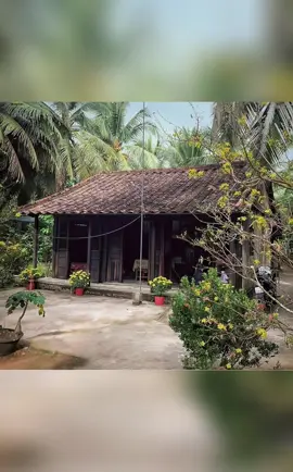 Hình ảnh những ngôi ngà đơn sơ, mộc mạc, thân thương mỗi khi về quê tôi mãi đi tìm. Tìm những hình ảnh ấy như tôi tìm và nhớ lại những kí ức tuổi thơ đã trôi qua. #nhomaingayxua#QuehuongVn#yenbinh 