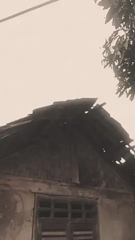 DEWA AMOR  ( Rhoma irama )