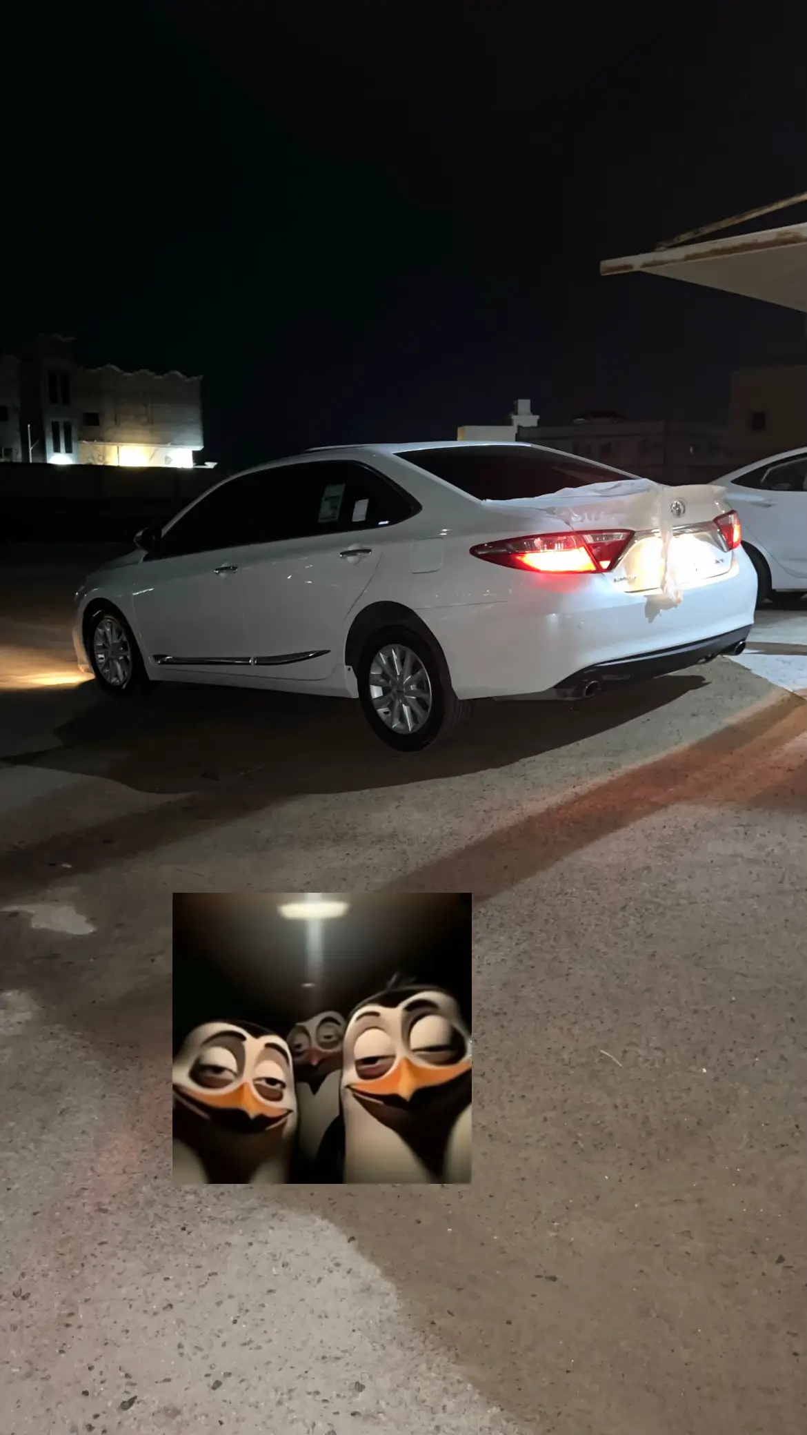 #كامري_17 #ترند #كموره #كامري #عايض 