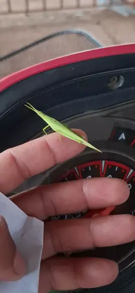 #kojtsisnrogkuvmusceskojmamnyobkuvmuslawmos😪