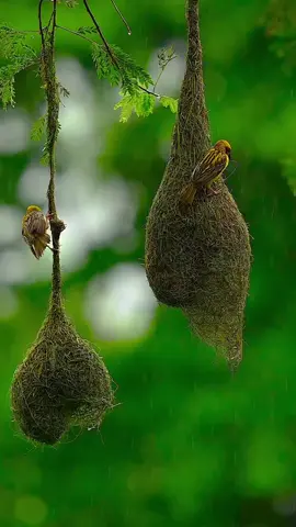 #لا_اله_الا_الله  #محمد_رسول_الله 