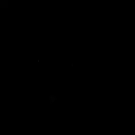 They are so freaking cute😩💙🦋😍@ellaboh @ari #ariabdul #ellaboh #wlw #edit #fyp 