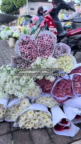 Nova Florist  (BAKUL KEMBANG)  Supplier Bunga Segar Sumowono Bandungan Since 2001 Info pemesanan 081225780103 Siap kirim sampai tujuan ✈️ #pasarbungabandungan  #novafloristbandungan  #bakulkembang  #freshflowers💐  #fyppppppppppppppppppppppp 