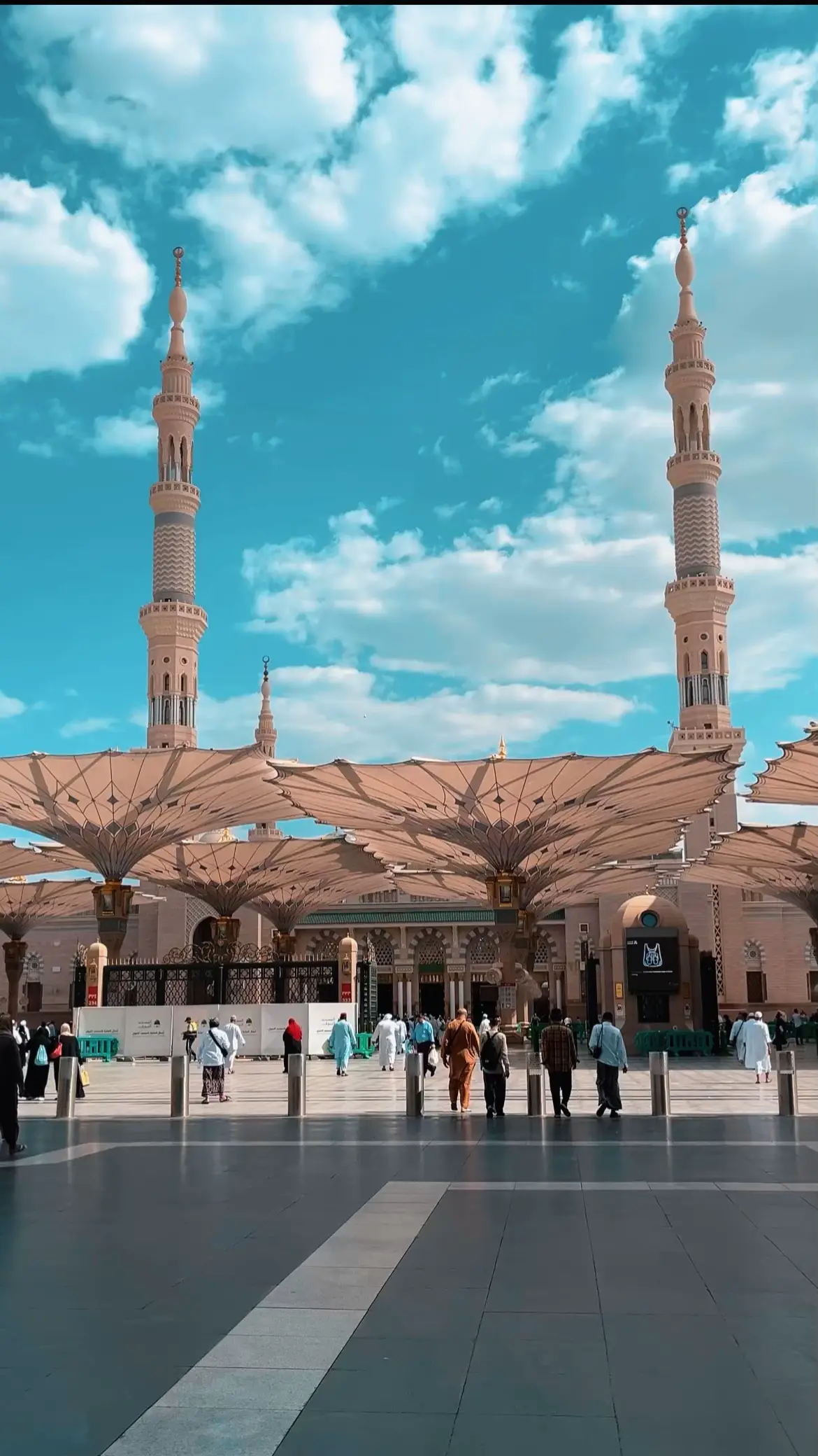 #المسجد_النبوي #المدينة 