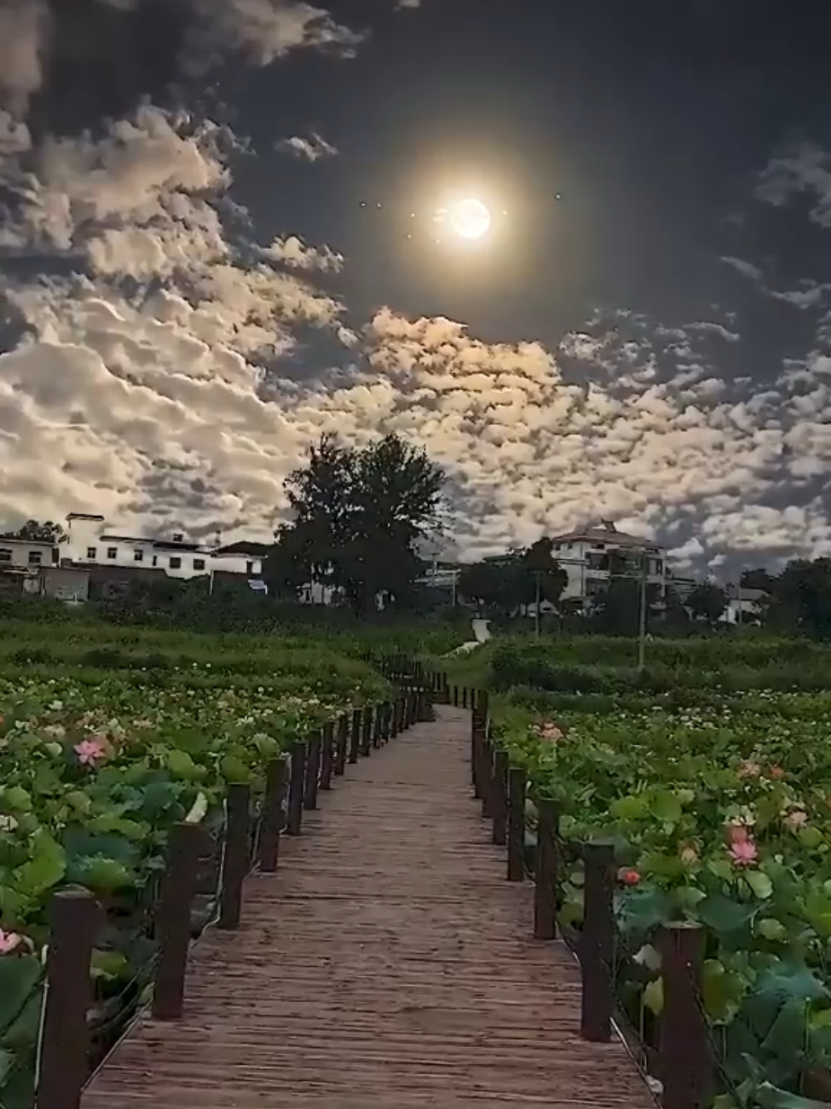 Boa noite com essa paisagem de lua perfeita #BelezaNatural #Paisagens #Natureza #lua #noiteenluarada 