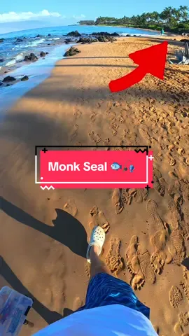 I Spotted an Endangered Animal 🐟🎣 #fishing #fish 