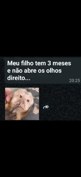 3 meses e não abre os olhinhos direito?  #baralhocigano  #tarot#humor #traição @Iana | Taróloga 