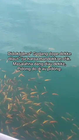 #fy  #fyppppppppppppppppppppppp  #viraltiktok 