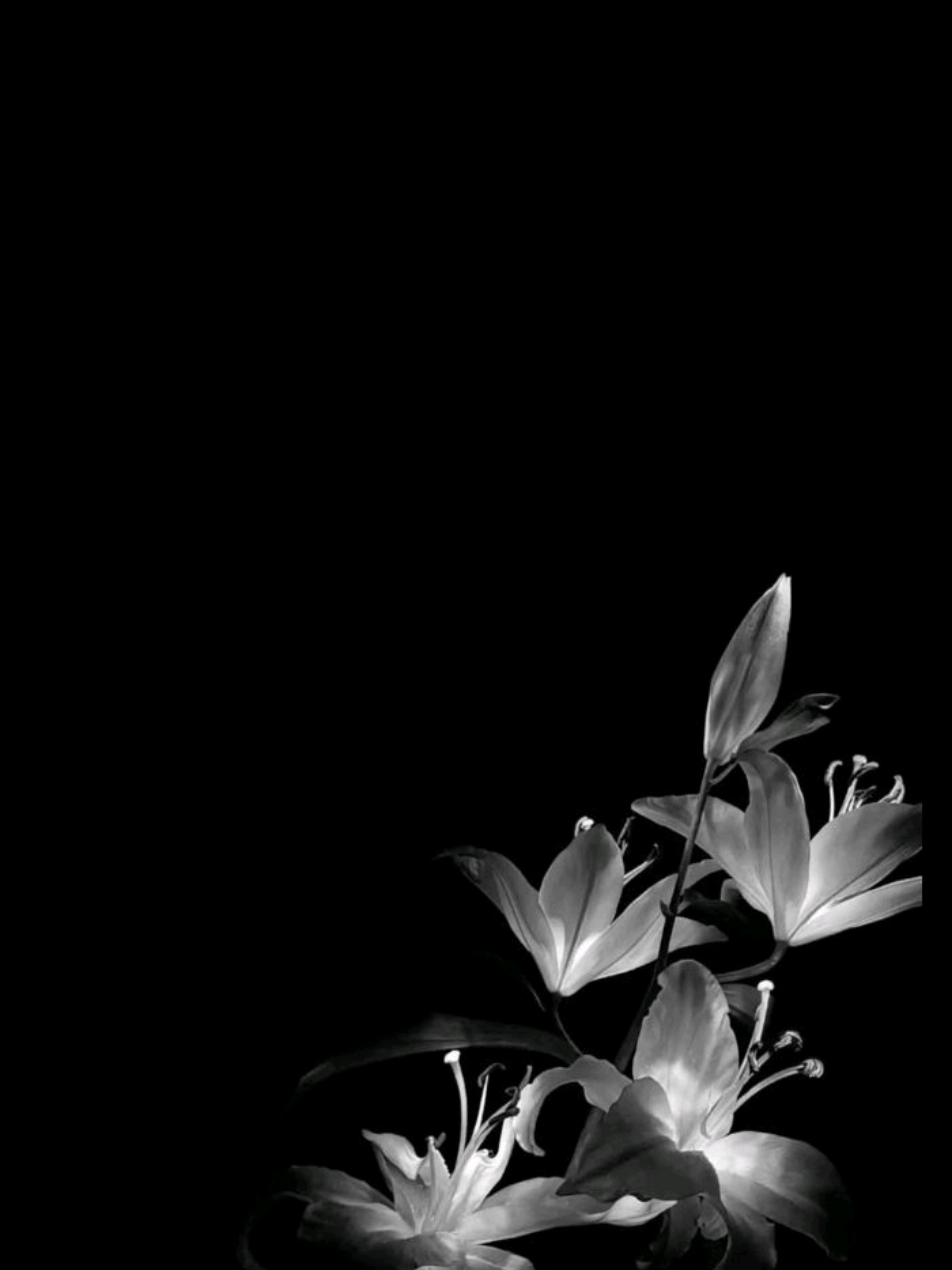 Meh  #missinghalloween #animation #fyp #nerd #missinghalloween10yearslater ater