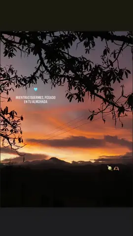 Te amare te amare 🥹