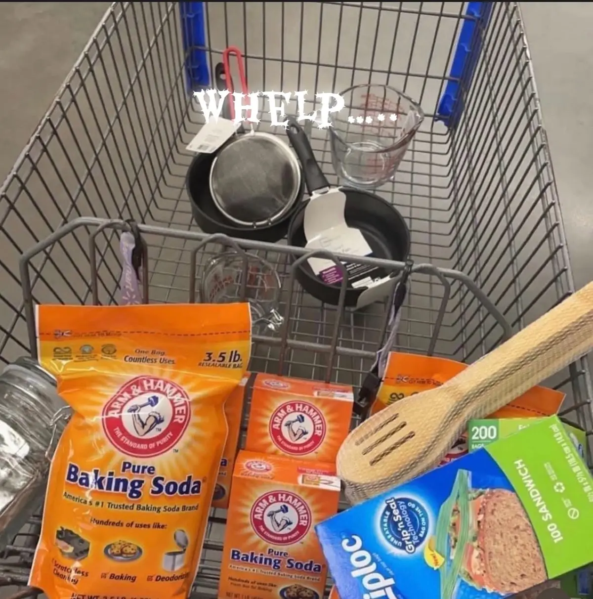 Whelp #bricks #fyp #lgbt🌈 #femsoftiktok 