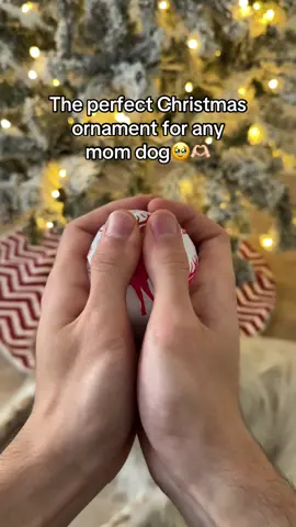 Moms dogs you need see this🥹✨ #christmas #gift #memories #dogmoms 