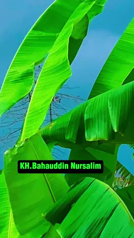 Jumat freeday #tiktok #capcut #batikindonesia #batik #gusbaha 